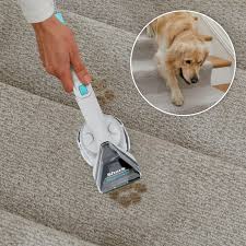 shark carpetxpert with stainstriker