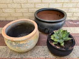 large pots in perth region wa pots