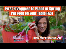3 Vegetables To Plant First In Spring