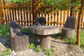 25 Tree Stump Ideas For A Quirky Yard