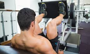 Squats Vs Leg Press Do I Need To Do Both Fitness 19 Gyms