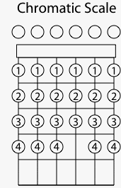Chromatic Guitar Scale