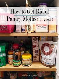 how to get rid of pantry moths for good