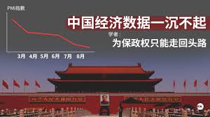 中国经济下半年反弹无望学者：为保政权只能走回计划经济之路| 瓜媒体