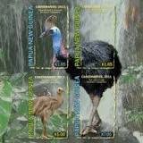 Image result for List of Birds of Papua New Guinea