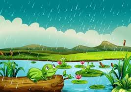 ayurveda health tips for rainy season