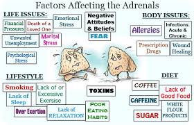adrenal gland fatigue myth or reality