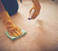 carpet cleaning business robinson