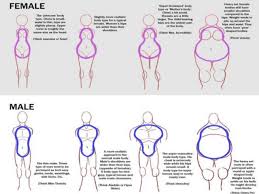 Once you are happy with the shape, erase the wire frame. How To Draw Female Body Shapes