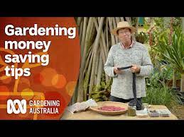 gardening 101 gardening australia