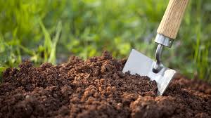 how to make soil more acidic 7 ways to