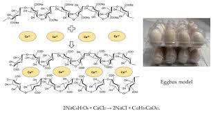 Calcium Alginate Sodium Alginate Nac