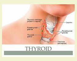 dry mouth induced by thyroid disease