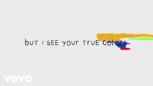 Definition of true in the idioms dictionary. Cyndi Lauper True Colors Lyric Video Youtube