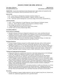 Best     Resume objective examples ideas on Pinterest   Career     Pinterest