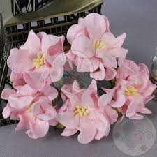 Baby Pink Gardenia Flowers Gf45 05