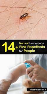 amazing human flea repellents