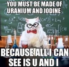Chemistry cat lol on Pinterest | Chemistry Cat, Science Cat and ... via Relatably.com