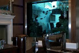 Amazing aquariums only millionaires can afford | loveproperty.com gambar png