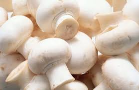 Image result for milky mushrooms