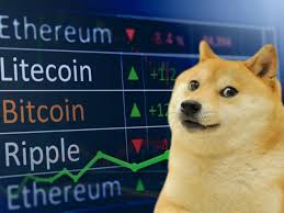 The meme experts suppose that the birthplace of the doge original image is tumblr, as it appeared firstly in one of the blogs there. Dogecoin The Joke We Didn T Meme To Make Real Gq