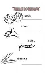 Body parts english worksheets for kids and teachers special to learning body parts words. English Worksheets Amimal Body Parts
