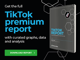 This will help you to use your resources in a balanced and rational way as well as remain flexible in. Tiktok Revenue And Usage Statistics 2021 Business Of Apps