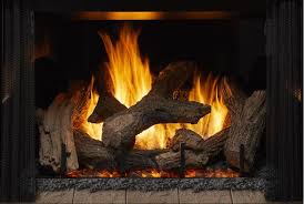 Phoenix Trueview Indoor Gas Fireplace