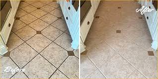 tile and grout cleaners