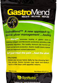 gastromend gastric health supplement