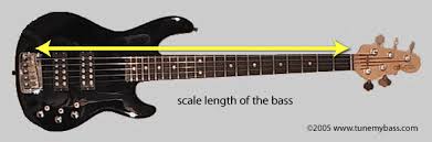 What Scale Bass Do I Want Bass Gear Studybass