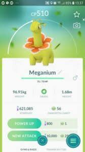 Details About Shiny Meganium Chikorita Evolution Trade Pokemon Go