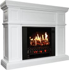 ᑕ❶ᑐ Buy Electric Fireplaces And Inserts