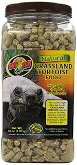 Russian Tortoise Food The 7 Best Buying Guide 2019