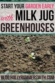 Milk Jug Greenhouses To Start A Garden