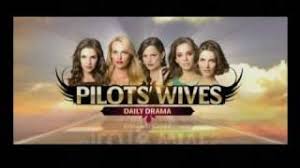 Image result for The Pilots Wife (2002):