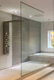 Glass Showers Doorless Contemporary