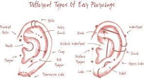 Find out where every ear piercing type is placed. The Ultimate Ear Piercing Guide Advice Aftercare Adell Baker