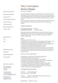 Cv Template Business 2 Cv Template Sample Resume Resume Cv