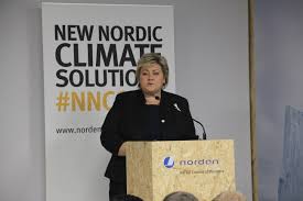 Erna solberg er en norsk politiker som er statsminister siden 2013 og partileder i høyre siden 2004. Norwegian Prime Minister Erna Solberg Speaking At The Nordic Pavilion In Paris Nordic Cooperation