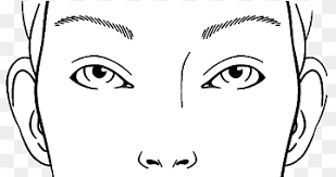 face chart cosmetics drawing face