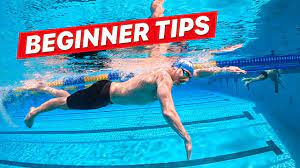 swim freestyle for beginner s