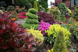 Предлагаем подборку из 30 цветов и декоративных кустарников, которые сделают ваш сад неповторимым. Dekorativni Rasteniya Naj Dobrite I Naj Populyarni Rasteniya Za Gradinata 115 Snimki