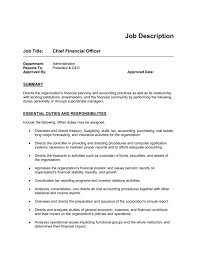 Job Description Example For Cfo Template Word Pdf By