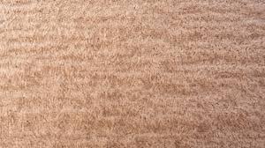carpet texture background image