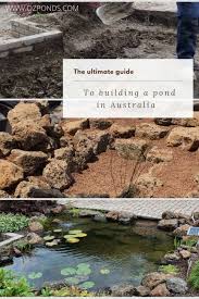 Guide To Building A Pond In Australia
