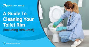 a guide to cleaning your toilet rim