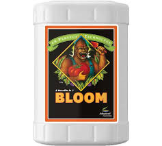 Advanced Nutrients Ph Perfect Bloom