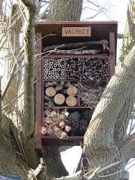 Diy Project Build A Bug Hotel To