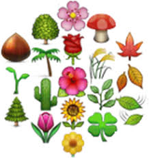 flowers emoji png plants